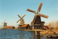 Escort Zaandam